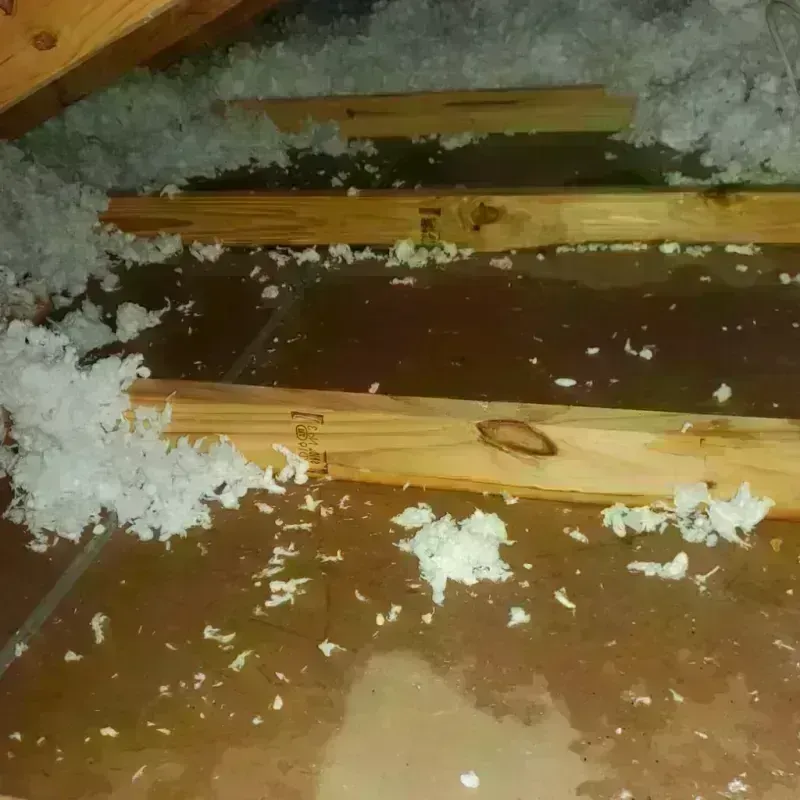 Attic Water Damage in Goodman, MS