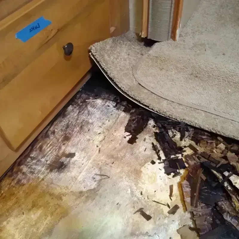 Wood Floor Water Damage in Goodman, MS